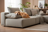 Sofa a zwierzęta - jaka tkanina wytrzyma psa i kota?