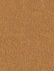 Terino 51